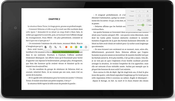 Publication numérique epub 2 digital publishing